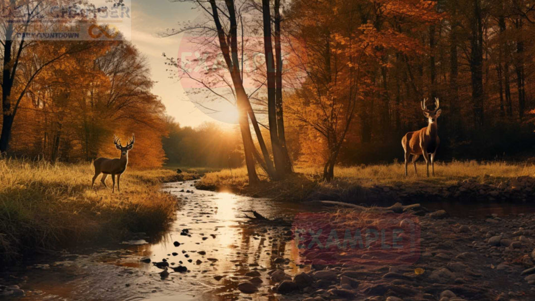Autumn Serenity: High Detail Deer Drinking along Brook 16:9 Landscape | Hanging Wall Art Canvas | Many Sizes