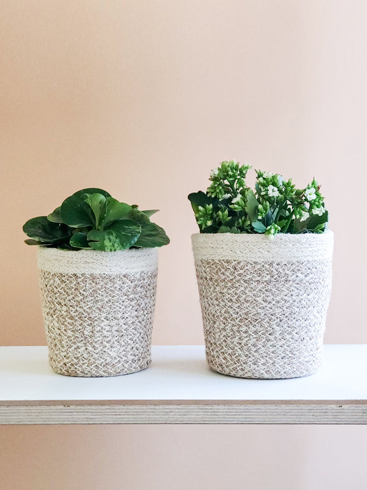 Agora Plant Basket - White-1