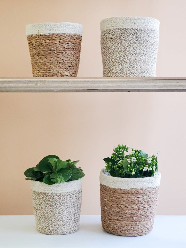 Agora Plant Basket - White-3