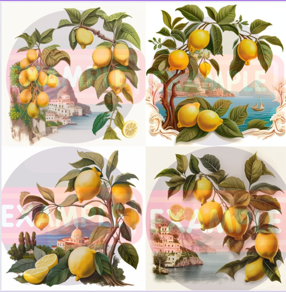 Italy Positano Lemon Clip Art | Digital Art Download | PNG SVG 8 Image Files | Beautiful Amalfi Coast | White Background