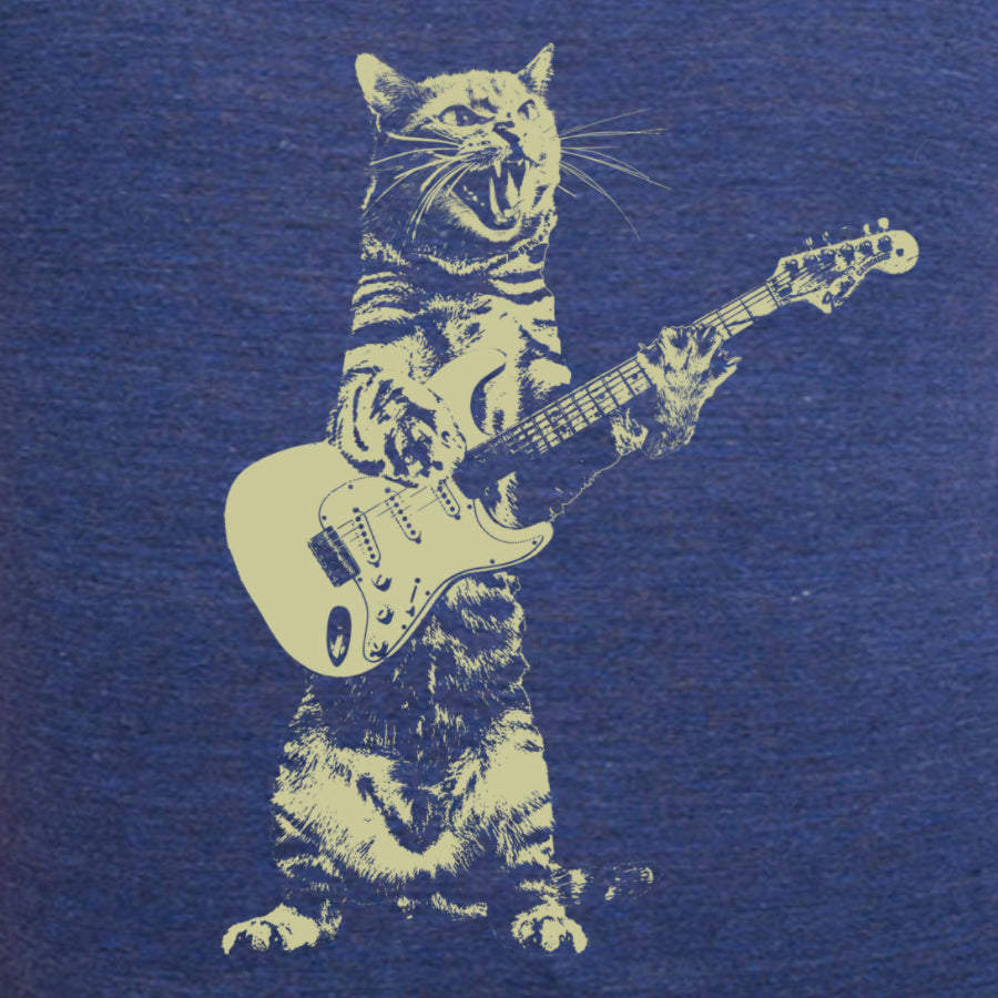 Cat playing guitar-0