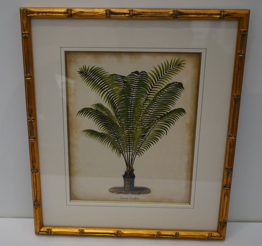 Fine Art Zamia Lindenii Painting - Deal Changer