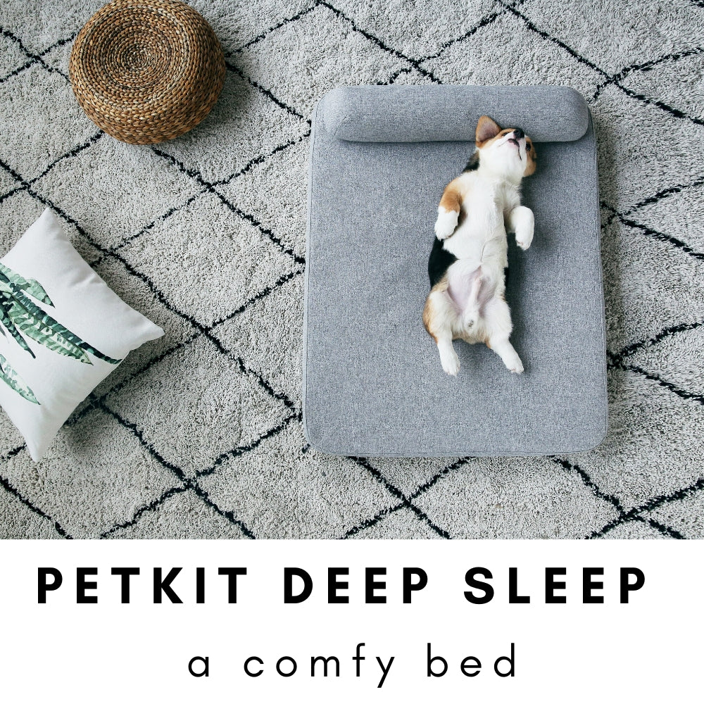 Instachew PETKIT Deep Sleep Dog Bed