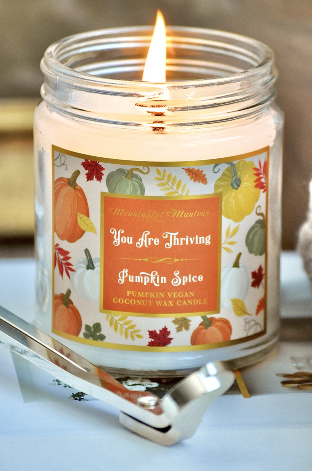 You Are Thriving Pumpkin Spice 8oz Candle