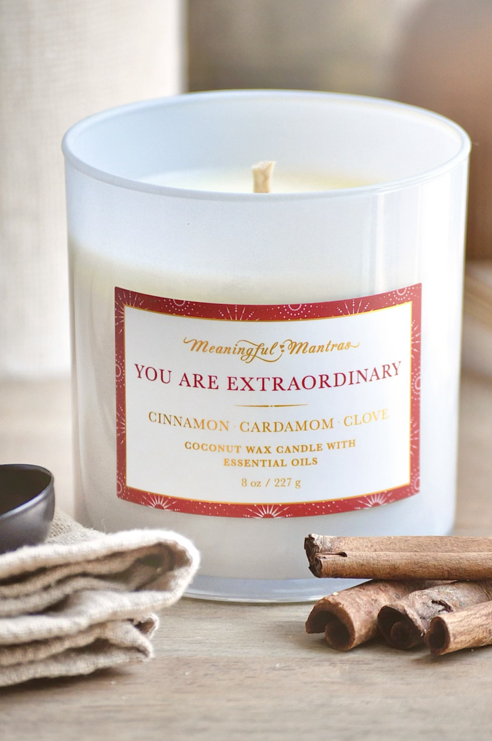 You Are Extraordinary Cinnamon, Cardamom and Clove 8.1 oz Candle
