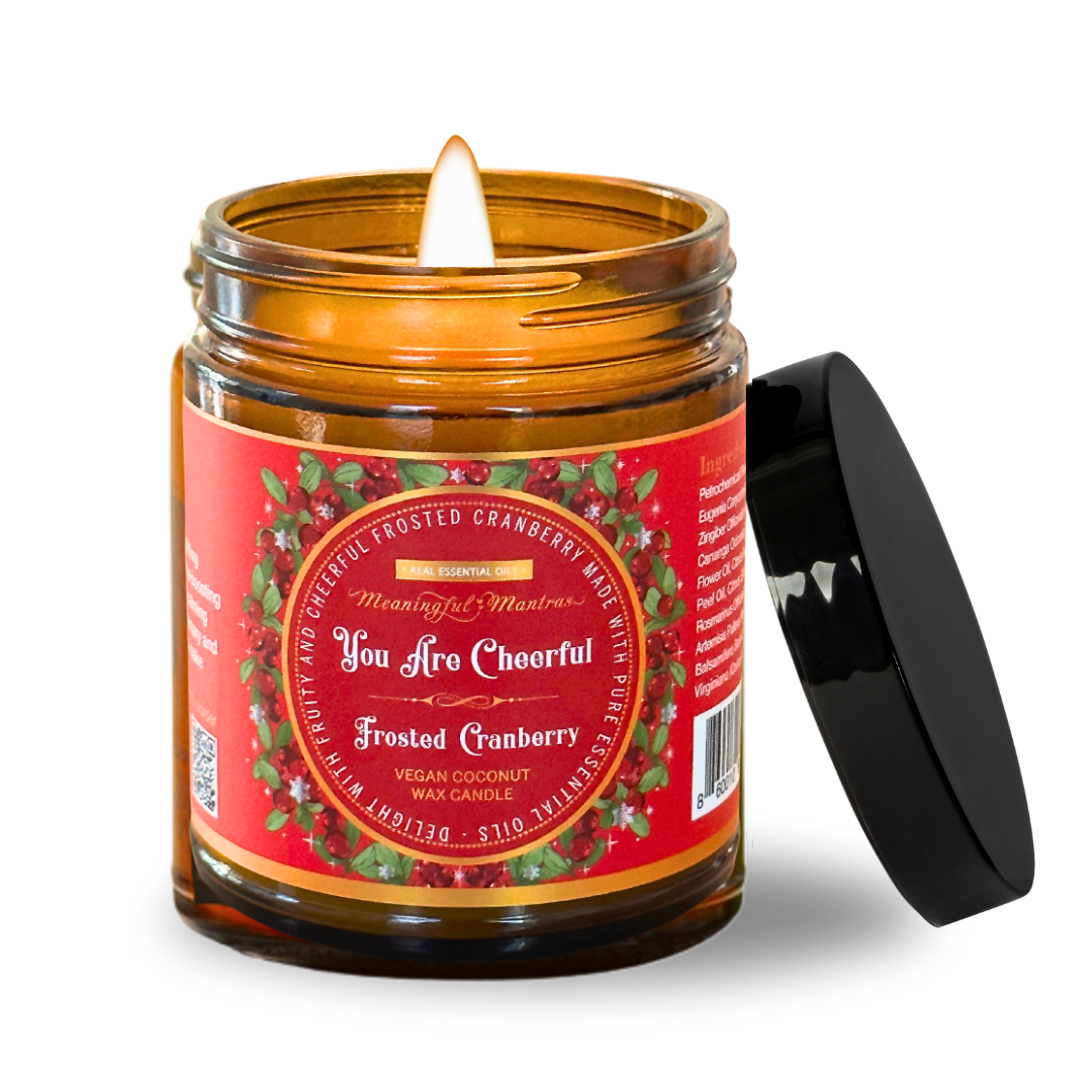 You Are Cheerful Frosted Cranberry 8oz Candle-0