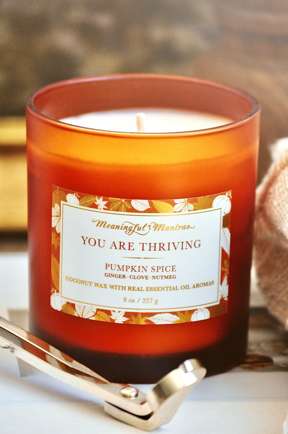 You Are Thriving Pumpkin Spice 8.1 oz Candle