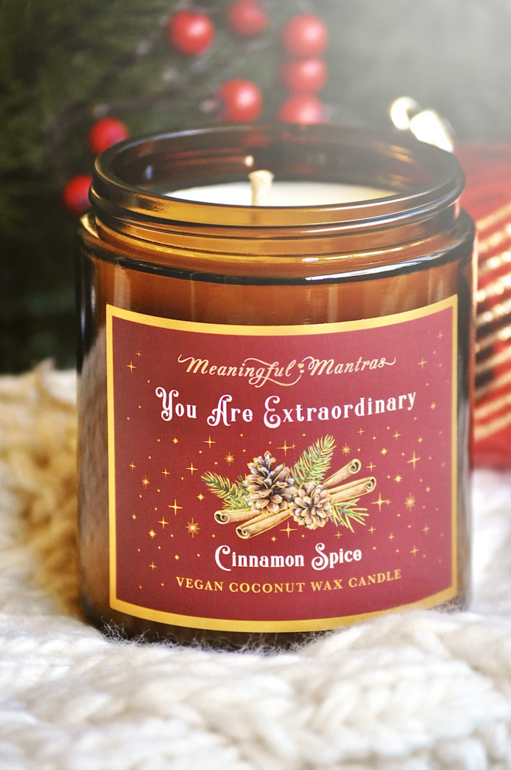 You Are Extraordinary Cinnamon Spice Holiday Aromatherapy 8oz Candle